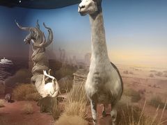 -陕西自然博物馆