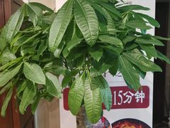 -裕和堂中医推拿艾灸(太古汇臻品店)