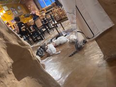 -猫猫幼稚园·撸猫·桌游·电玩