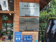 -夜郎谷生态园