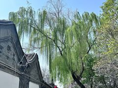 -闲·胡同 Barblu Hutong(雍和宫五道营店)