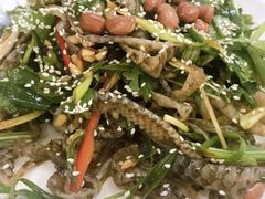 顺德捞起爽鱼皮-成惠食府(赤岗店)