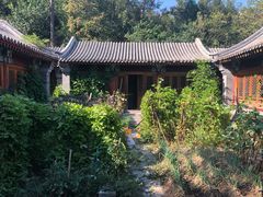 -阳台山自然风景区