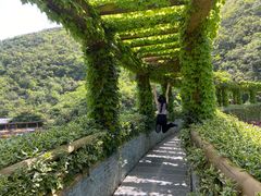 -郧西五龙河风景区