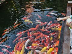 -顺德渔村·岭南一号