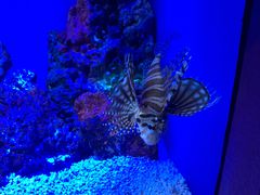 -上海海洋水族馆