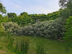 -苏州太湖国家湿地公园