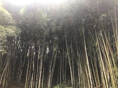-桂山风景旅游区
