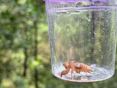 -南国桃园旅游度假区