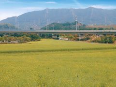 -光明小镇欢乐田园