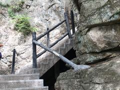 -王顺山国家森林公园