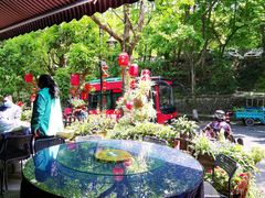 -国生茶庄·地道农家菜团建活动