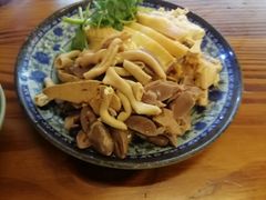 -九斤黄三黄鸡专卖店