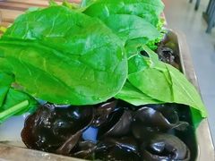 -友情岁月·火锅鸡
