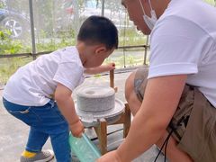 -前小桔亲子创意农场·草莓采摘·露营烧烤