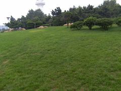 -日照灯塔风景区