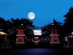-二一九公园