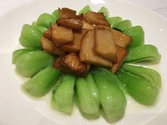 -张生记(丁香国际店)