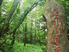 -庐山风景区花径公园