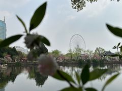 -无锡蠡湖国家湿地公园-蠡园