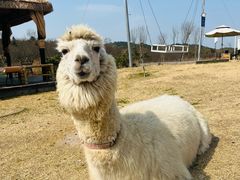 -天目湖涵田度假村