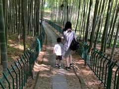 -宝岩生态观光园