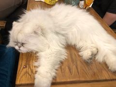 -小时光咖啡馆(北锣鼓巷店)