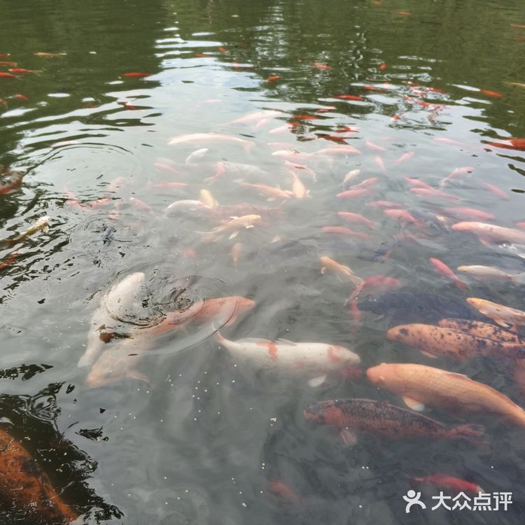 成都周边游攻略｜都江堰景区拍照指南