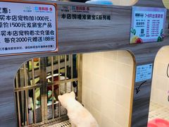 -1013 PET SHOP 宠物商店(近铁城市广场店)