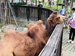 -上方山森林动物世界