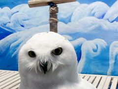 -成都浩海立方海洋公园