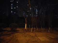 -南普公园