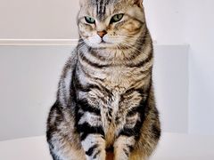 -怪兽屋·羊驼·猫咖·狗咖(俊华广场店)