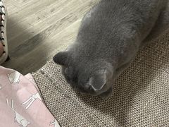 -美迦爱-牙专科·兔科·骨科诊疗中心(北苑店)