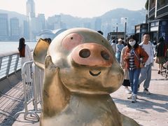 -星光大道