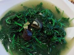 上汤辣椒叶-粤·向群饭店(泮塘路店)
