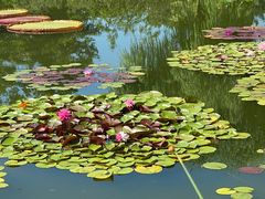 -国家植物园南园