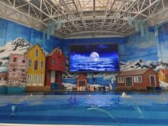 -西安曲江海洋极地公园
