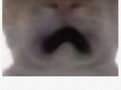 -宜宾海鲜酒家·三十年老字号