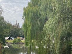 -上海滨江森林公园