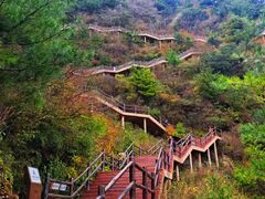 -秦岭天竺山生态文化旅游景区