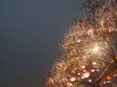 -大雁塔北广场音乐喷泉