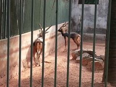 -广东茂名森林公园