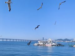 -星海广场