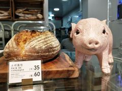 -WHEN PIGS FLY当猪飞