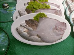 -北方饺子王·海肠捞饭·海鲜锅(山大店)