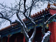 -故宫博物院(故宫)