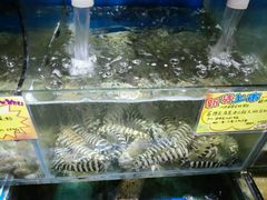 -蚝专家(北滘店)