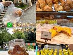 -广州市白云山风景名胜区