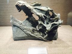 -自贡恐龙博物馆